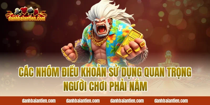 Các nhóm điều khoản sử dụng quan trọng người chơi phải nắm