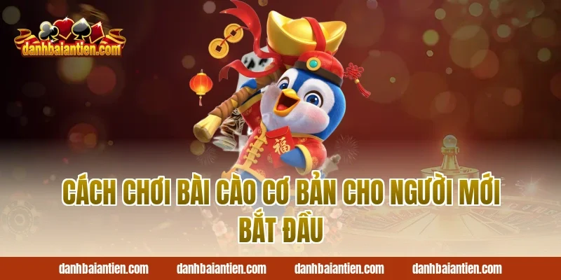 Cách chơi bài cào cơ bản cho người mới bắt đầu