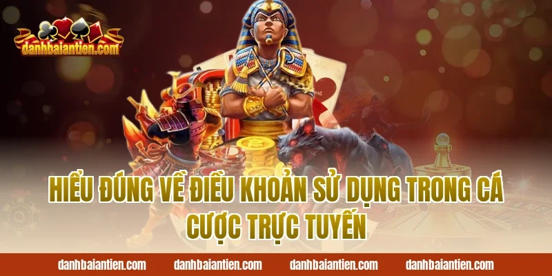 Hiểu đúng về điều khoản sử dụng trong cá cược trực tuyến