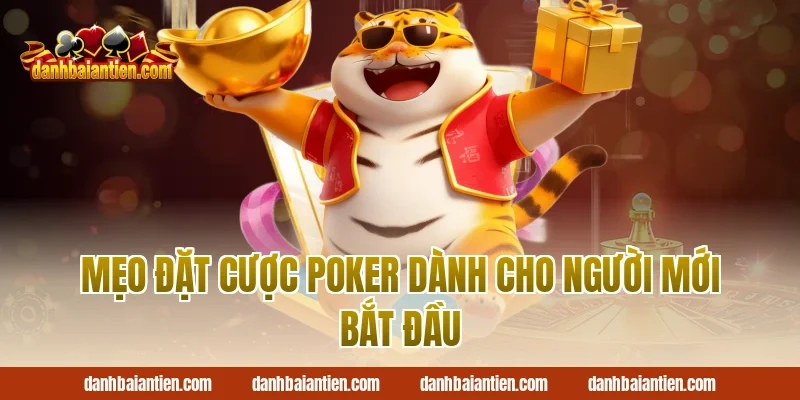 Mẹo Đặt Cược Poker Dành Cho Người Mới Bắt Đầu