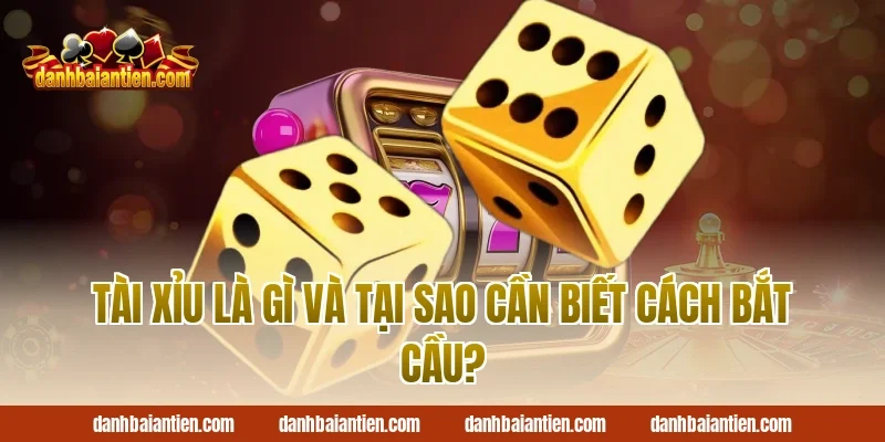 Tài Xỉu Là Gì Và Tại Sao Cần Biết Cách Bắt Cầu?